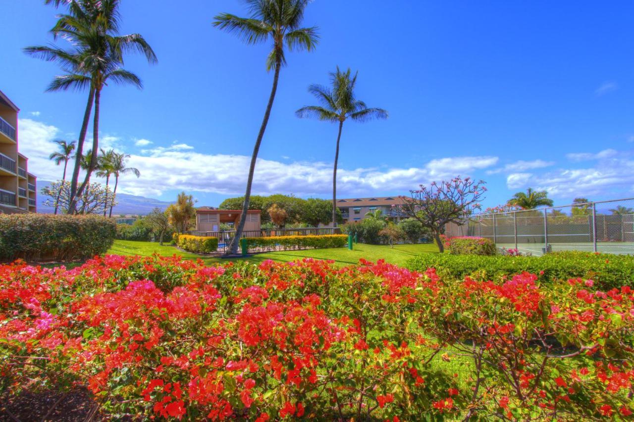 키헤이 Maui Vista 3101 아파트 외부 사진